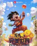 龙珠之完美世界封面