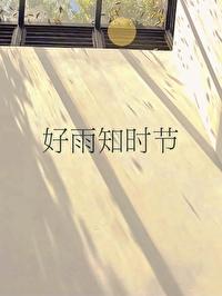好雨知时节封面