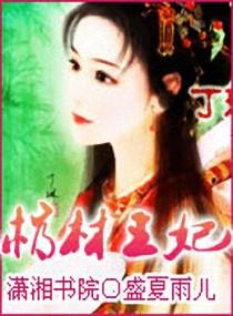 萧先生宠妻手册封面