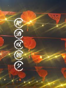 【琴兰】把酒嘆朝夕封面