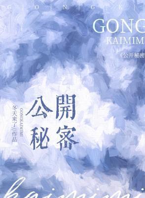 公开秘密封面
