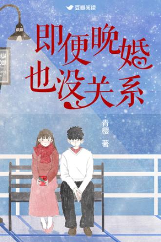 即便晚婚也没关系封面