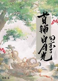 首辅白月光回京了封面