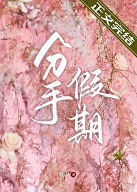 分手假期封面
