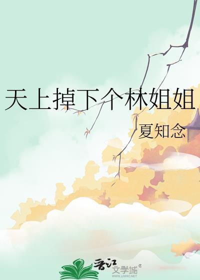 天上掉下个林姐姐封面