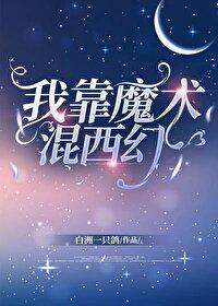 我靠魔术混西幻封面