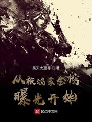 大秦金榜现世封面