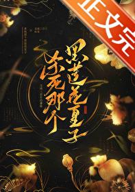 杀死那个黑莲花皇子封面