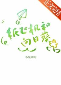 纸飞机和向日葵封面