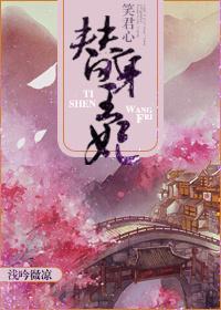 笑君心之替身王妃封面