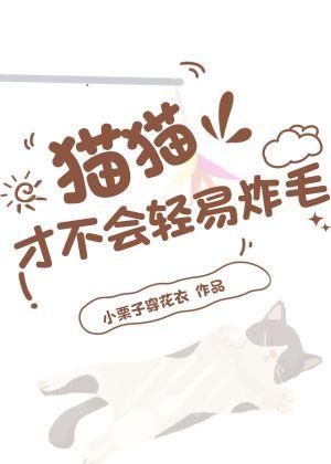 猫猫才不会轻易炸毛封面