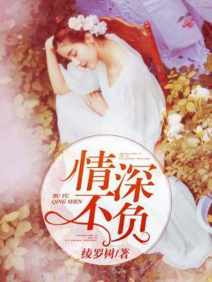 情深不负夏天晴阙子期封面