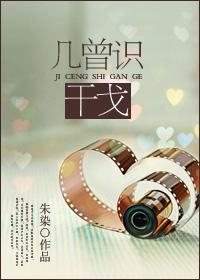 几曾识干戈封面