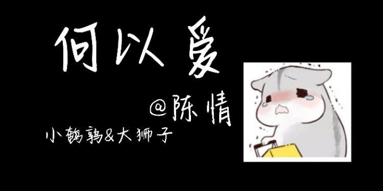 何以爱封面