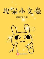 北宋小文豪封面