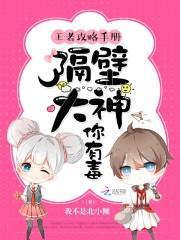 王者攻略手册：隔壁大神你有毒封面
