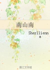 南山南封面