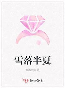 雪落半夏封面