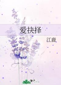 爱抉择封面