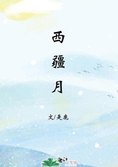 西疆月封面
