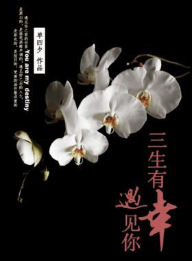 三生有幸,遇见你封面
