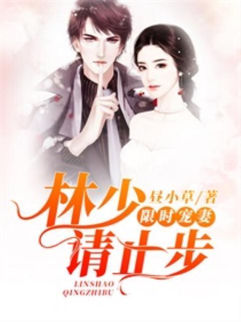 限时宠妻：林少请止步封面