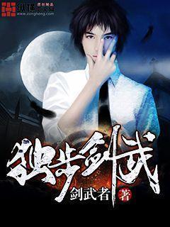 独步剑武封面