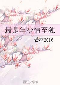 最是年少情至独封面