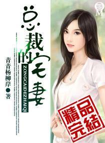总裁的宅妻封面