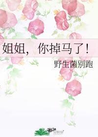 姐姐，你掉马了！封面