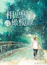 相思树下橄榄绿封面