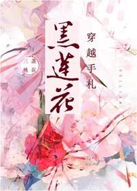 黑莲花穿越手札封面