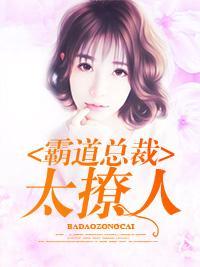 霸道总裁太撩人封面