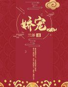 沈妙澄梁世中封面