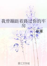 我曾蹦跶着路过你的牢房封面