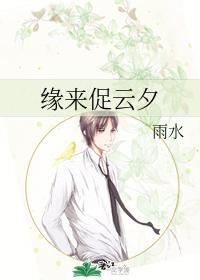 缘来促云夕封面