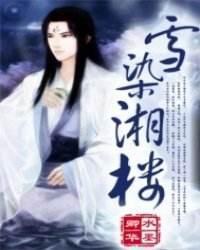 雪染湘楼封面