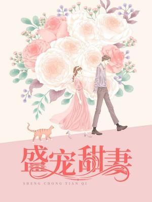 盛宠甜妻封面