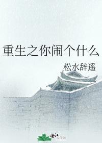 重生之你闹个什么封面