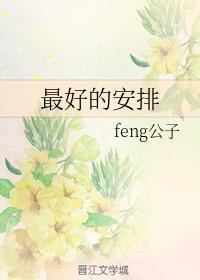 最好的安排封面