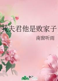 我夫君他是败家子封面