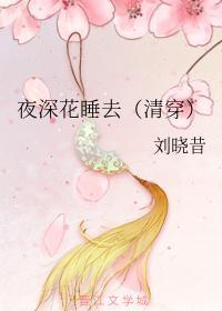 夜深花睡去（清穿）封面