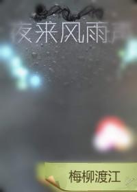 夜来风雨声封面