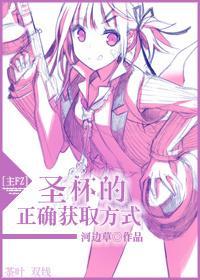 [主FZ]圣杯的正确获取方式封面