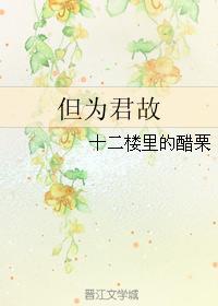 但为君故封面