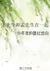 王先生和孟先生在一起封面