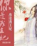 你是我王妃封面