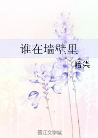 谁在墻壁裏封面