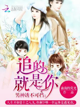 男神诱不可挡:追的就是你封面