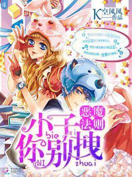 恶魔法则:小子,你别拽!封面
